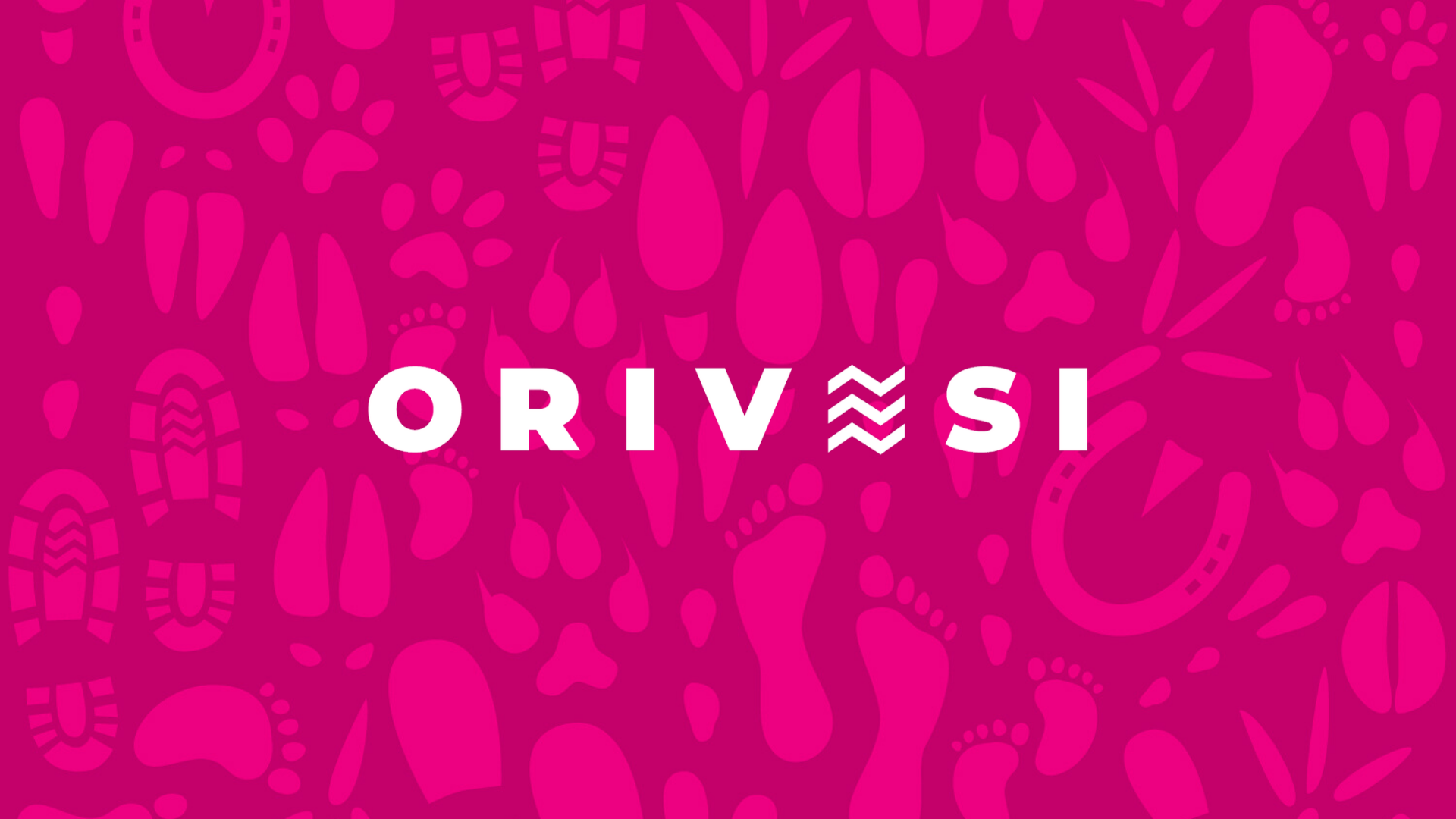 Oriveden logo, taustalla Orivesi-kuosia.