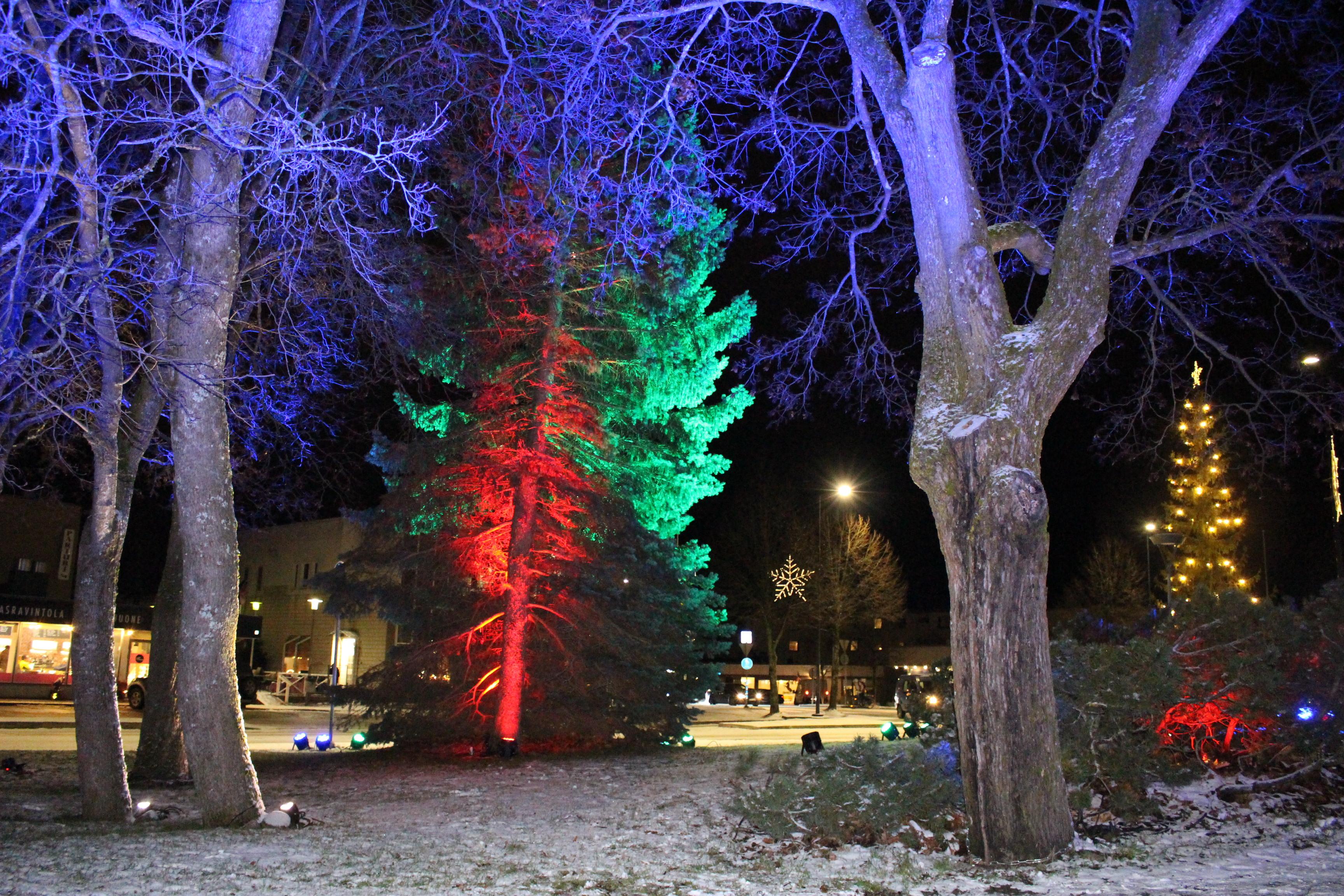 Valotaidetta Orivarsa-puistossa joulunavauksessa 2020.
