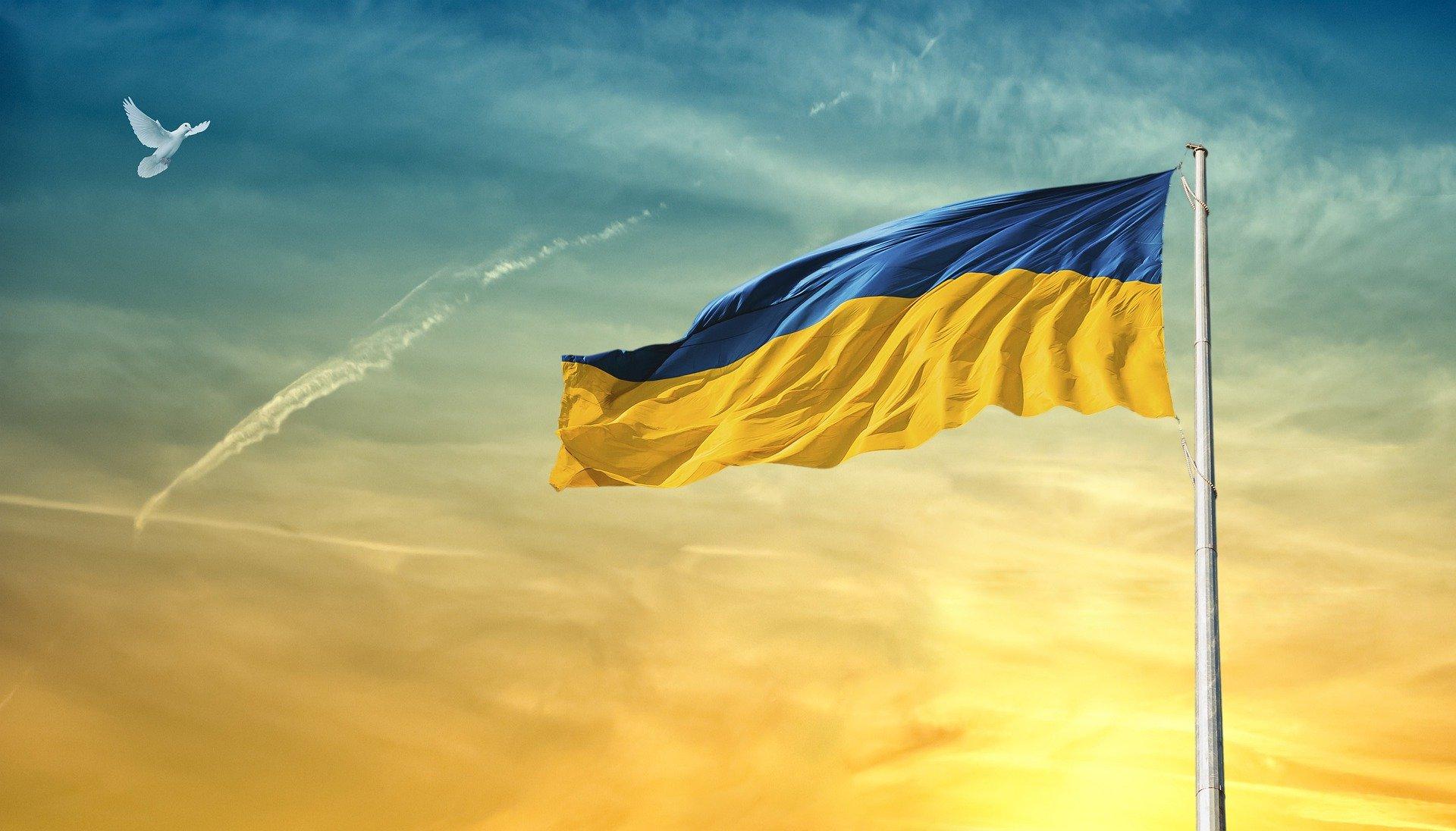 Ukrainan lippu liehumassa sinikeltaista taivasta vasten, taivaalla lentää valkoinen kyyhky.