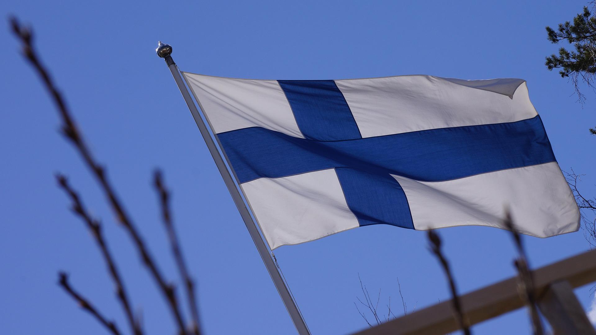 Lipputangossa liehuva Suomen lippu sinistä taivasta vasten sekä puun oksia, joissa silmut.