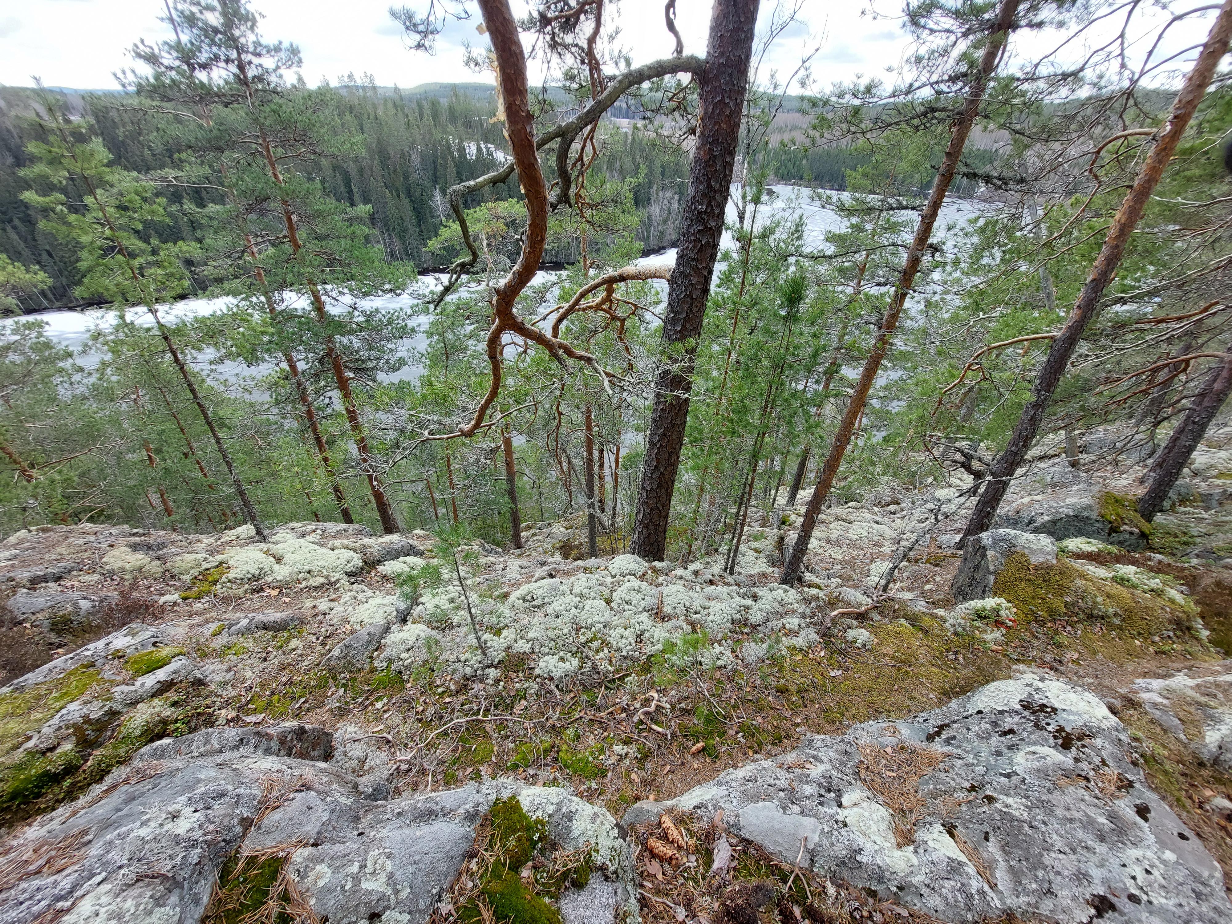 Aurikkojärven näköalapaikka, näkymä kallion laelta.