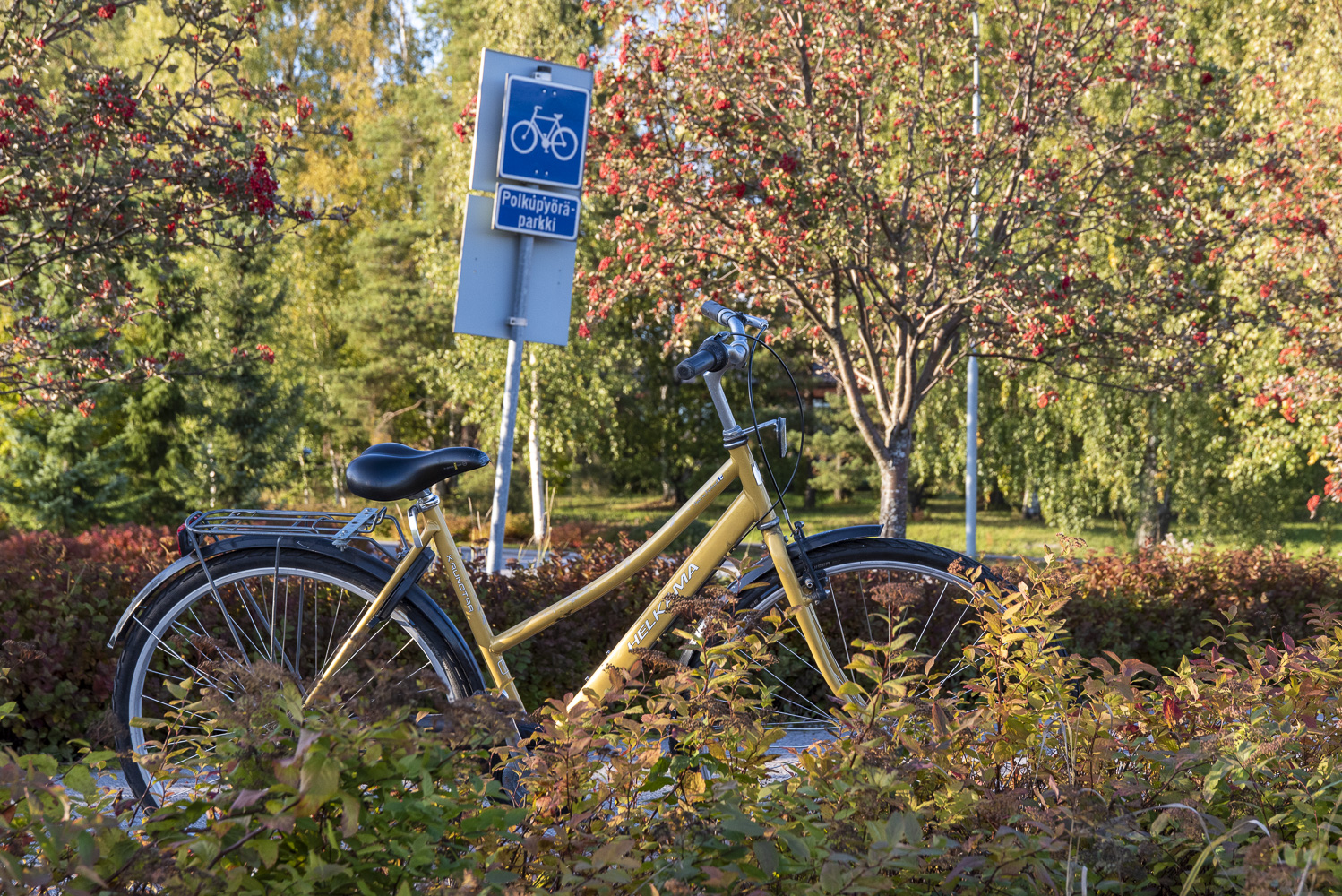 Polkupyörä parkissa lähijunaseisakkeen liityntäpysäköintialueella.