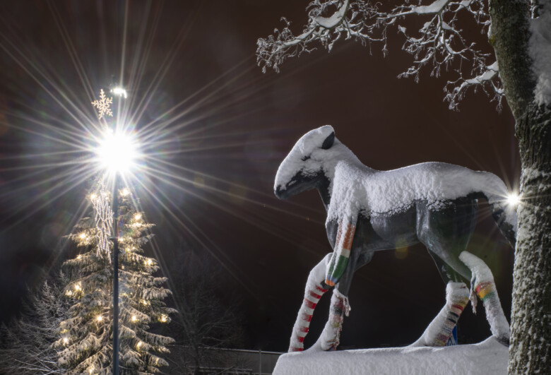 Lumipeitteinen Orivarsa-patsas, jolla on villasukat ja kaulahuivi, taustalla joulukuusi, jossa valot.