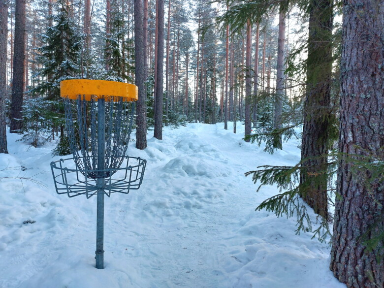 Frisbeegolfkori lumisessa metsässä Orivesi Discgolfparkissa.