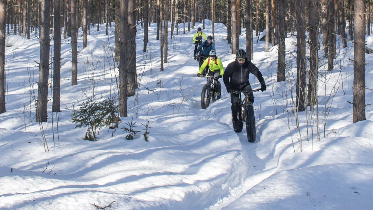 Talvipyöräilijöitä metsässä.